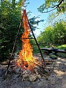 250904_MA-Waeldi 250904_MA-Waeldi