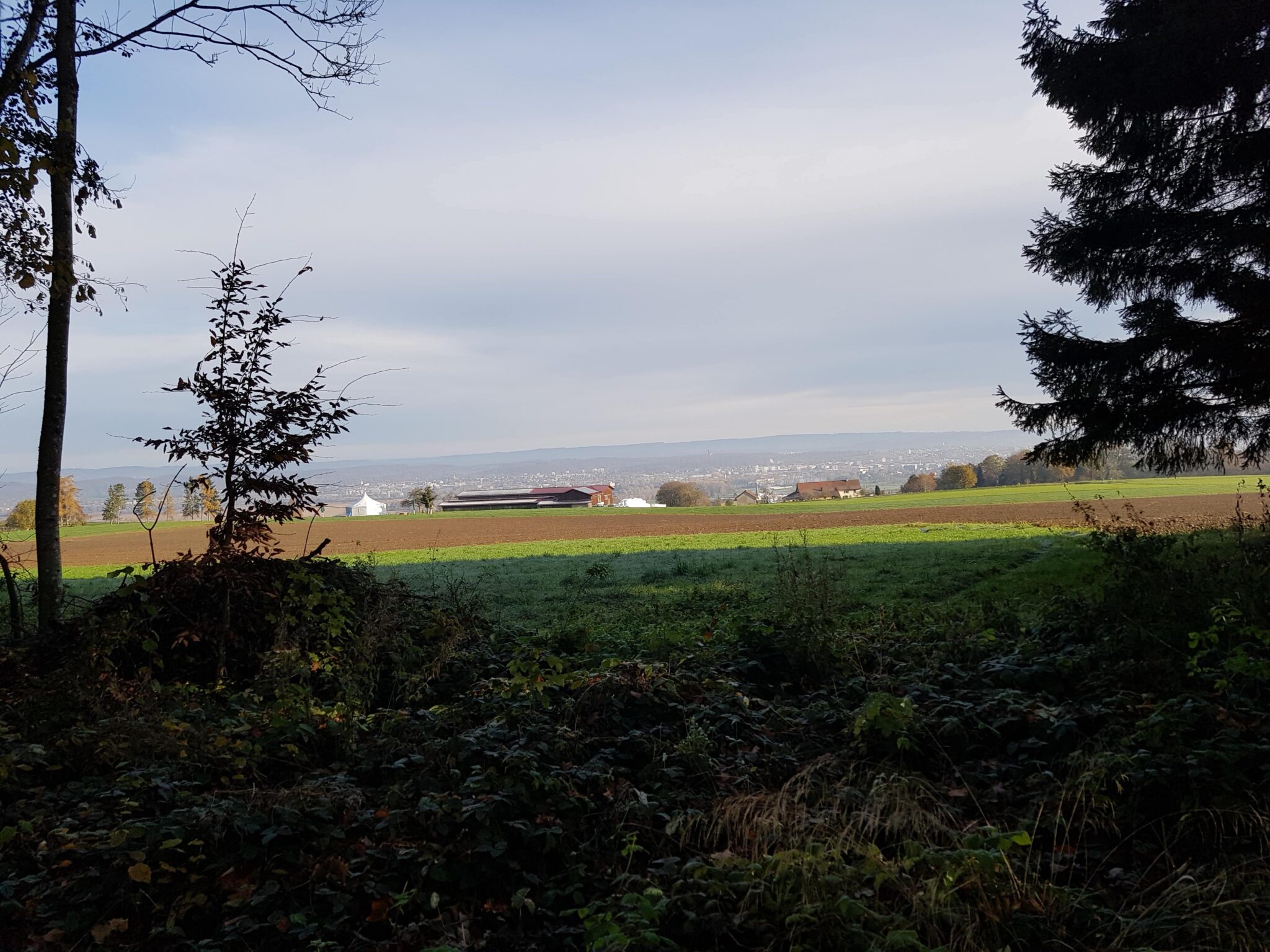 Waldspielgruppe Waldvögel 1