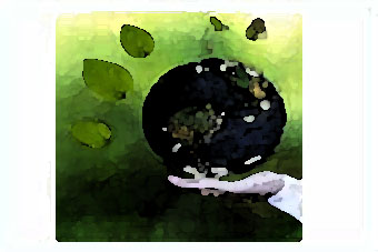 250917 Sporttag Z1 titel